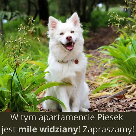 Дом отдыха Art&lake House