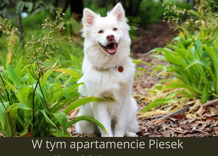 Дом отдыха Art&lake House